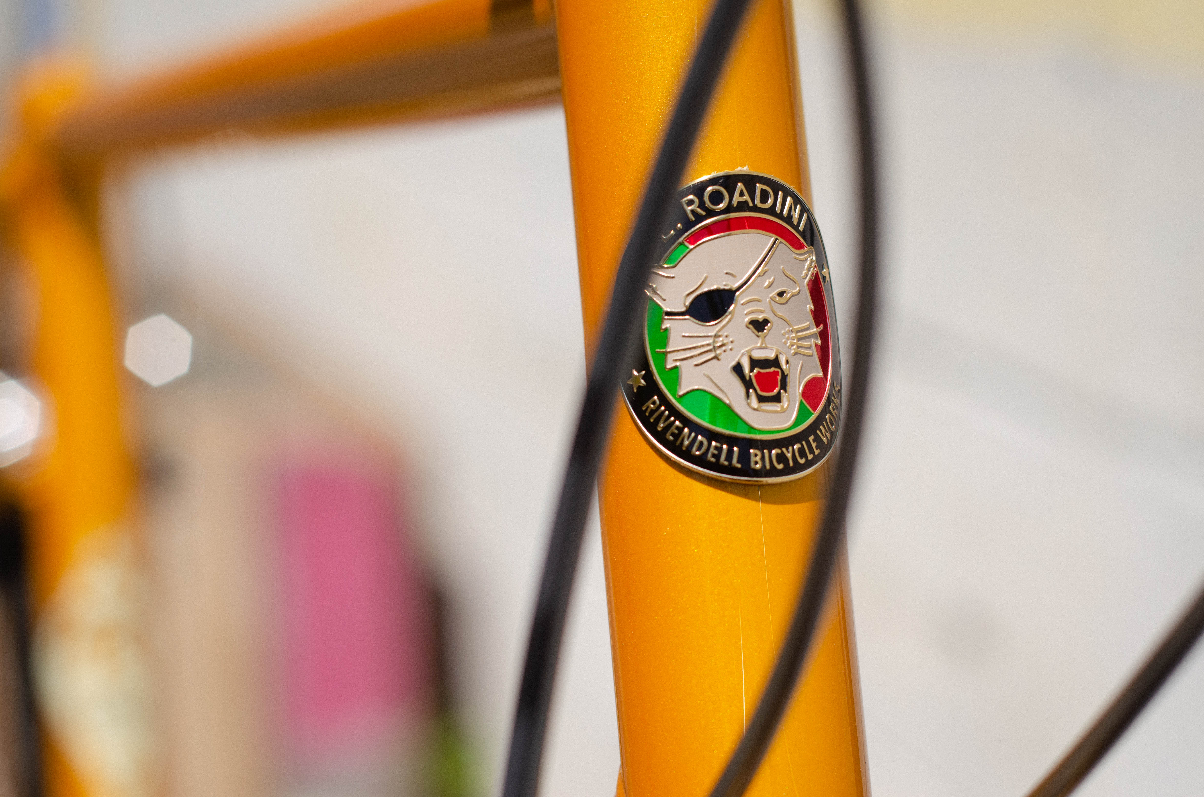 Web Special Frames and Platypus Completes - Image 8