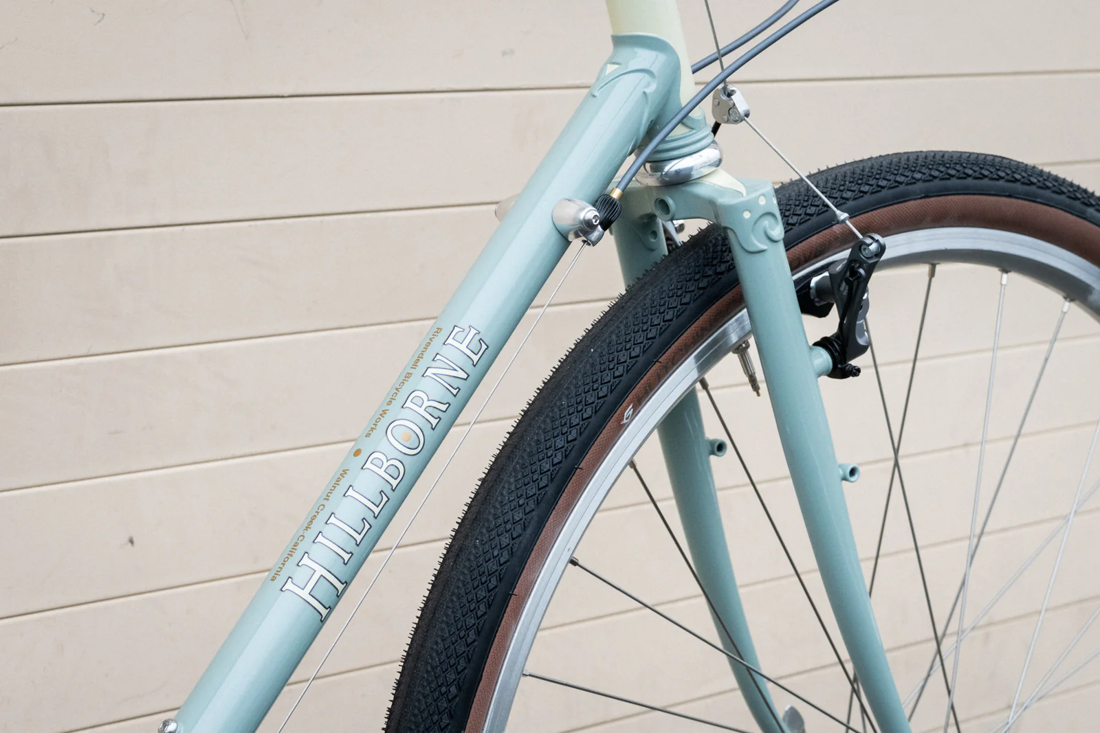 60cm Sam Hillborne Web Special - Vince's Pick - Image 4