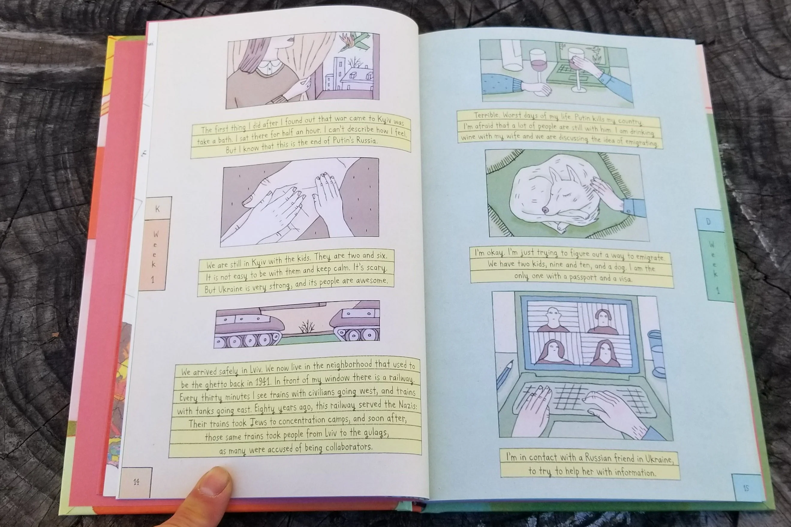 Book - Diaries of War - Image 3