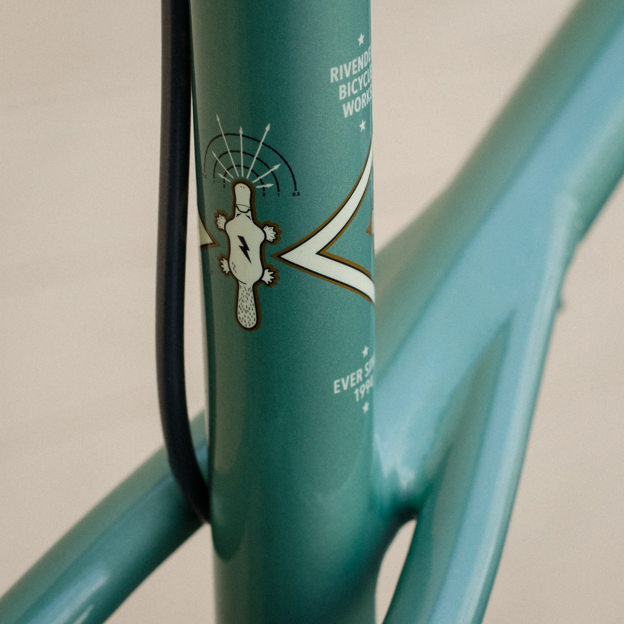 60cm Wavie Platypus special - Image 8