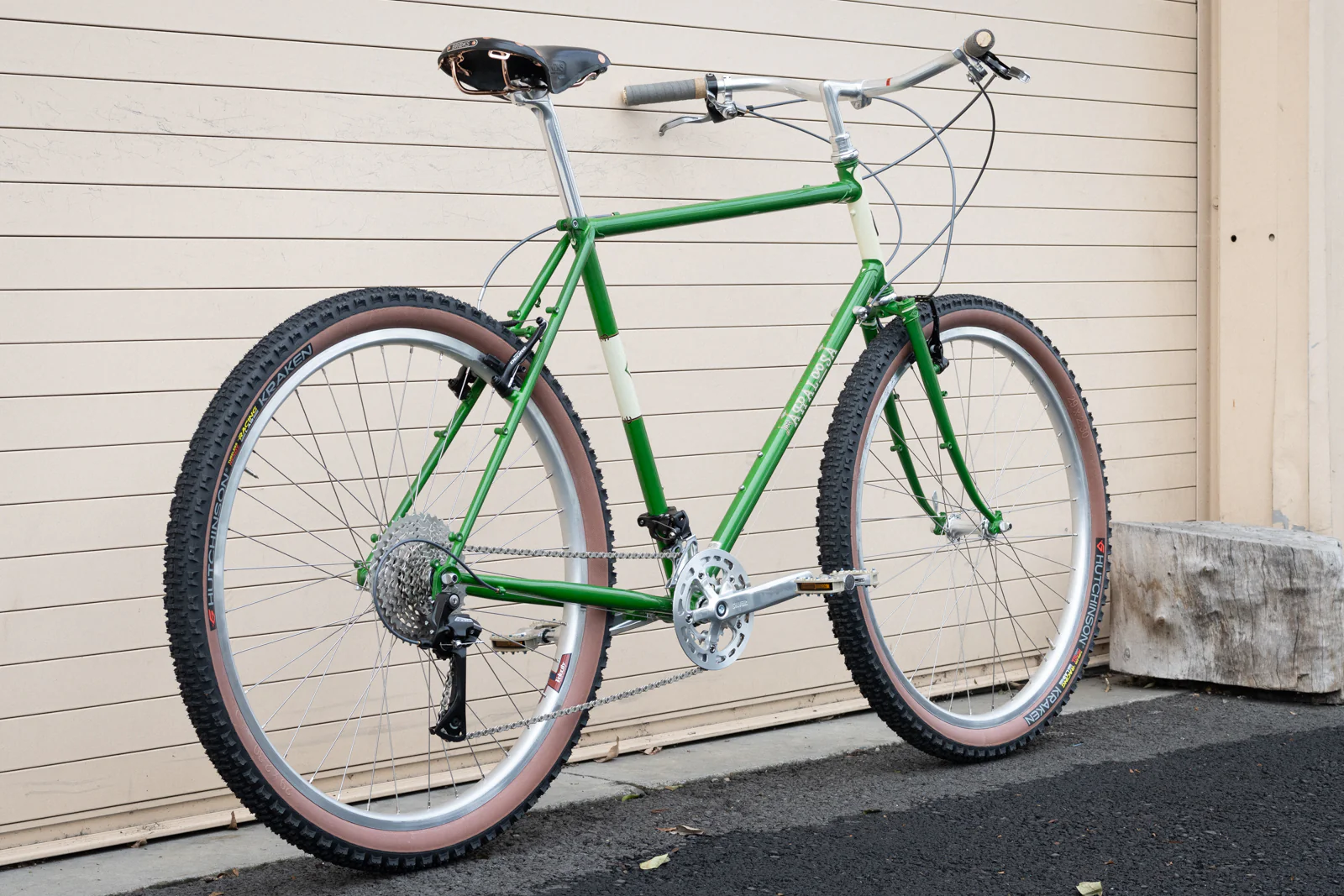 Frame - Appaloosa - Presale - Image 23