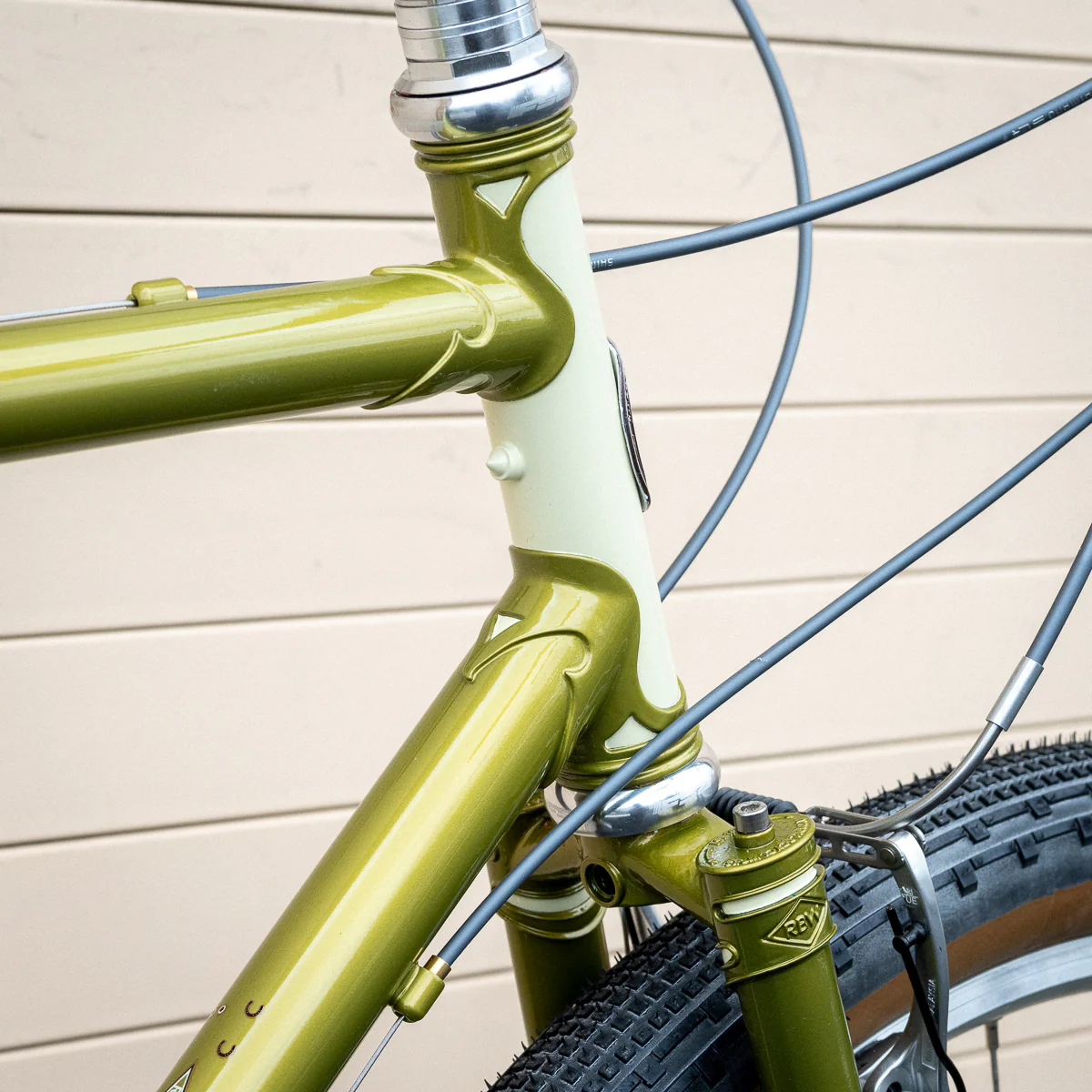 Frame - Appaloosa - Presale - Image 26