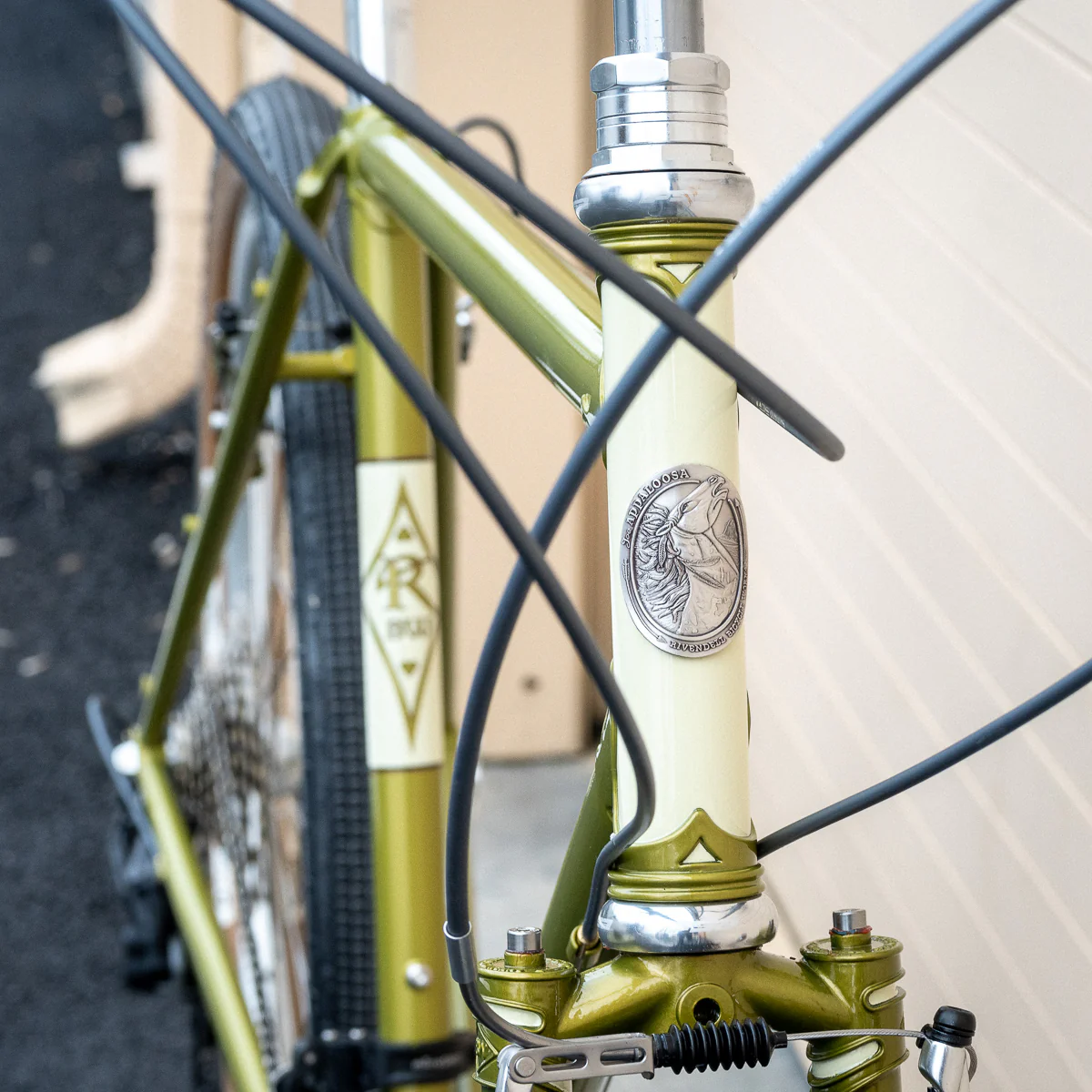 Frame - Appaloosa - Presale - Image 28