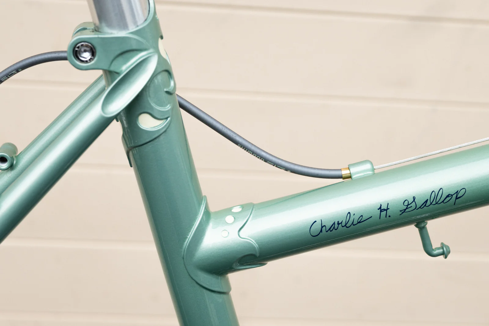 Frame - Charlie Gallop 2025 - Image 13