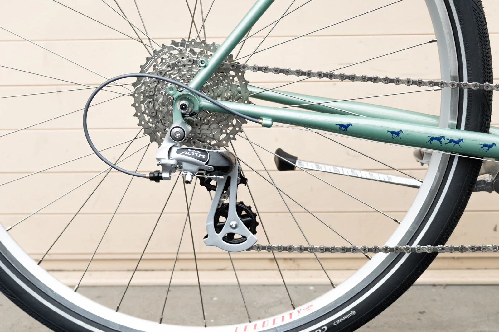 Frame - Charlie Gallop 2025 - Image 30