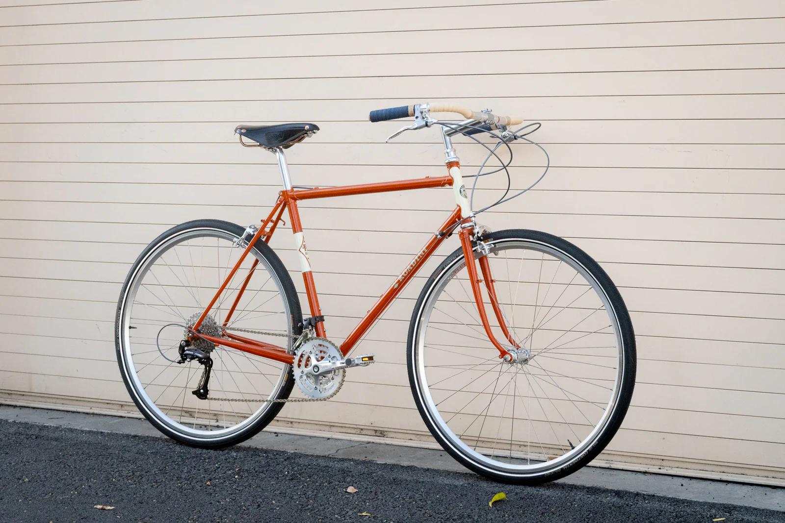 Frame - Roadini 2026 - Presale - Image 5
