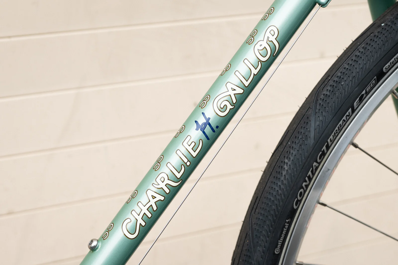 Gallop Build - Antonio's Albatross Bar Package - Image 3