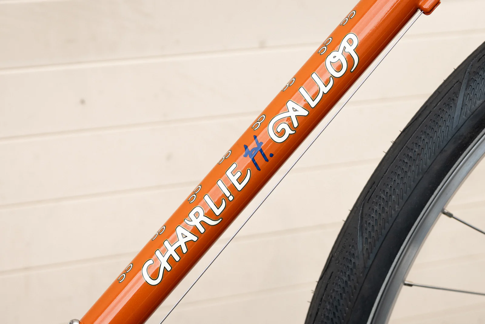 Gallop Build - Antonio's Wavie Bar Package - Image 4