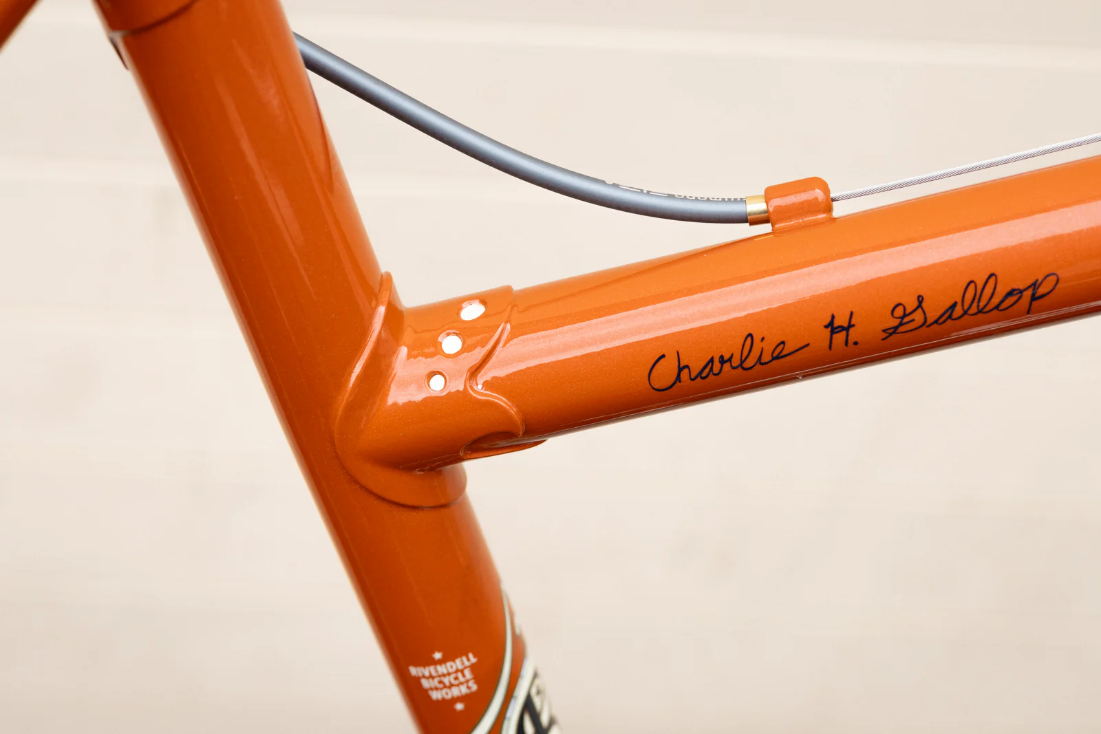 Gallop Build - Antonio's Wavie Bar Package - Image 5