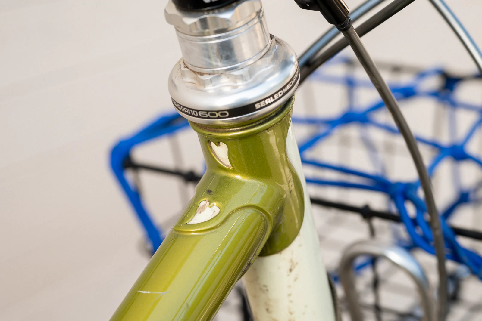 Platypus Complete Bike - 2025 - Image 8