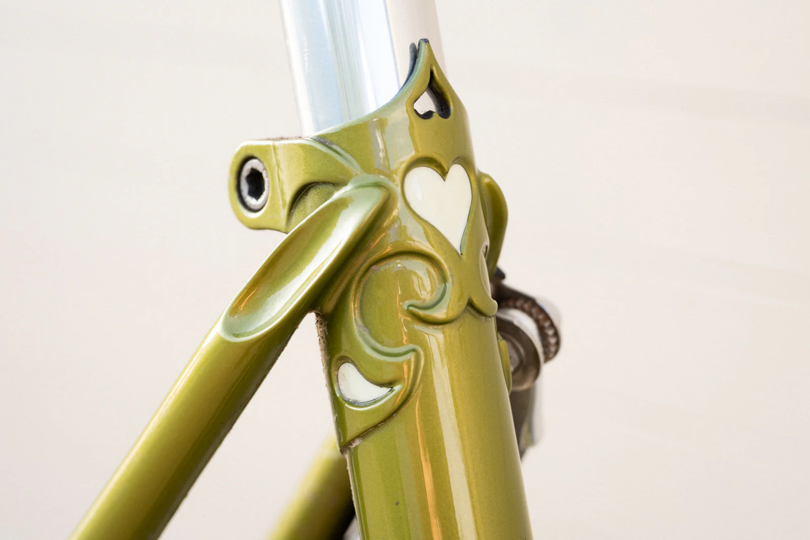 Platypus Complete Bike - 2025 - Image 9