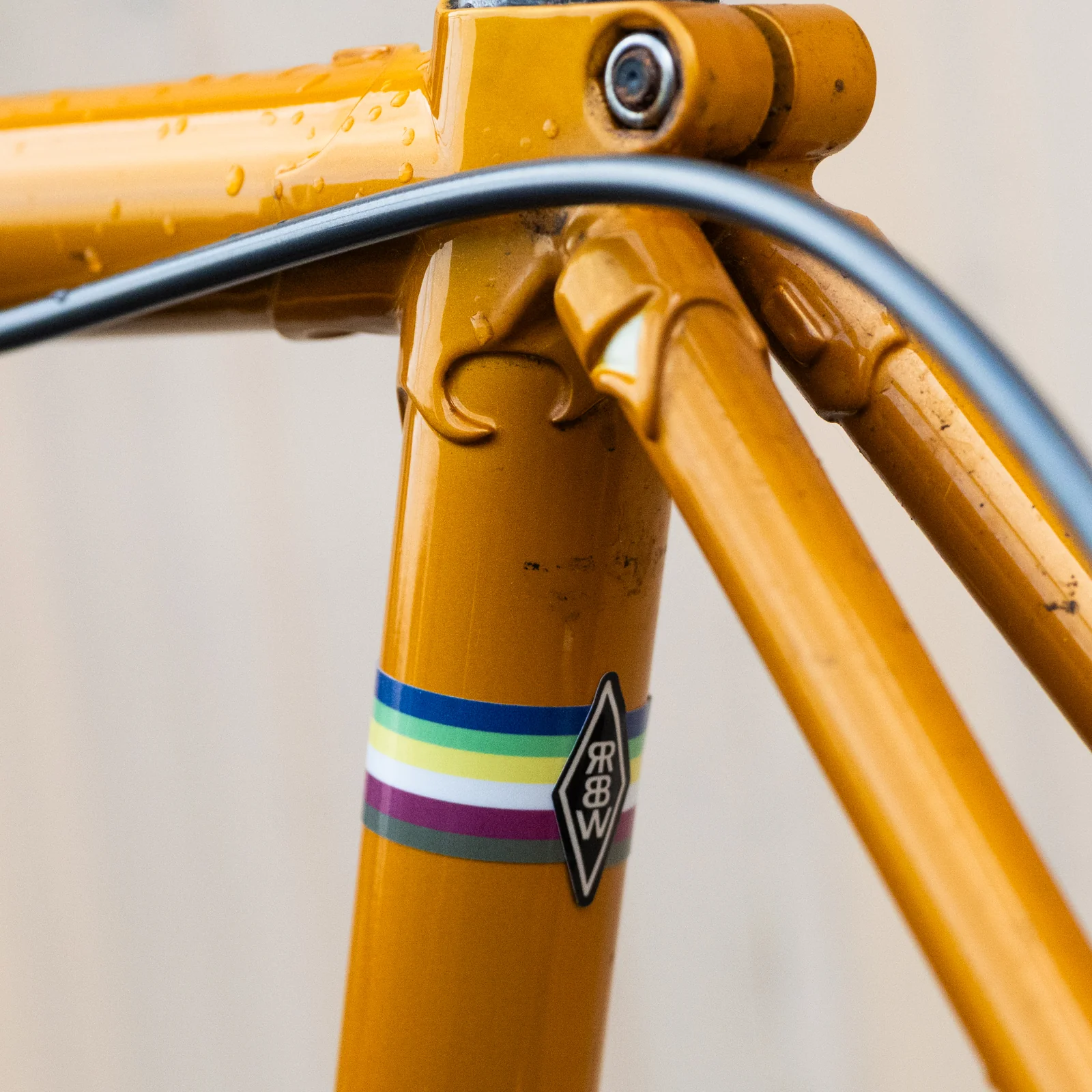 Rivendell World Champion Stripe Sticker - Image 2