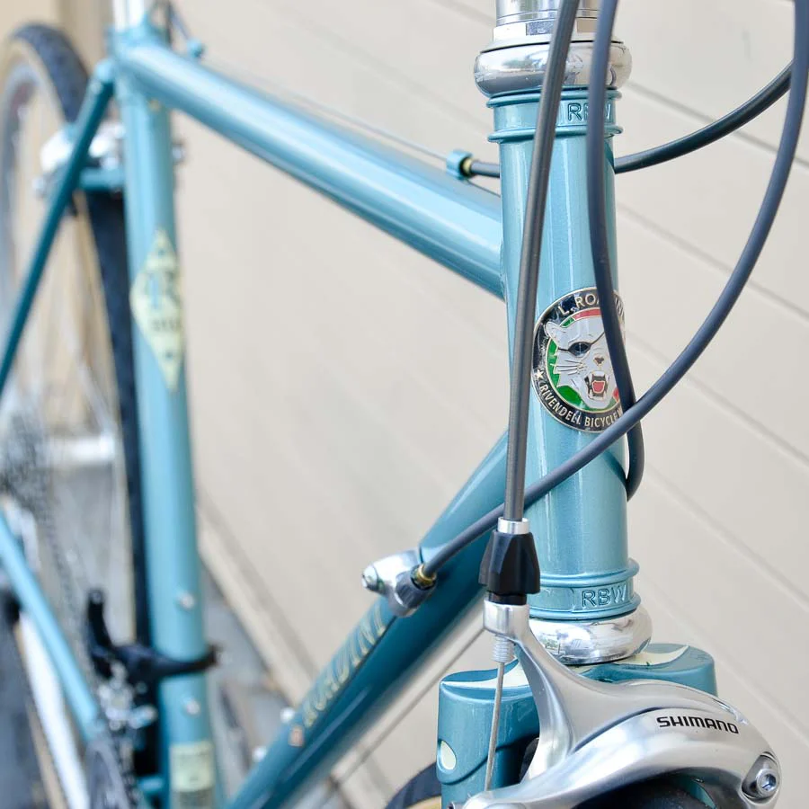 Roadini - Blue 50cm - 105 Web Special - Image 2