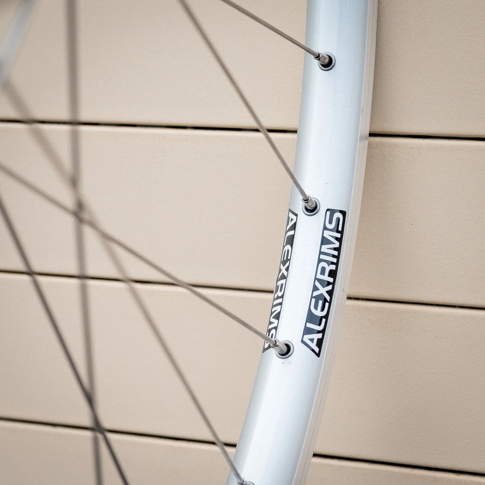 Wheelset - Velocity-Built Single Speed DM21 - Roaduno (vbw) - Image 7